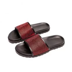 Shop All DNA Slides - Black And Red - SL02