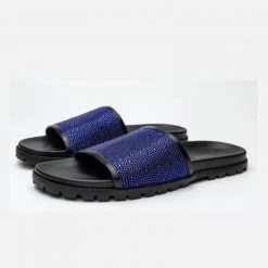Shop All DNA Slides - Black And Blue - SL03