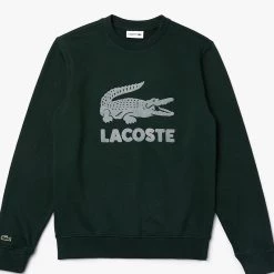 Lacoste Crewneck Sweater - Croc Graphic - Green - SH2167 51 YZP Shop All