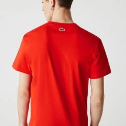 Shop All Lacoste T-Shirt - Oversize Badge - Red And Blue - TH1786 51 F8M