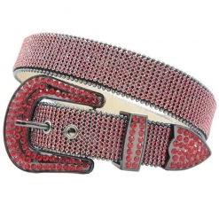 Shop All DNA Belt - Small Stones - Red