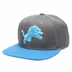 Shop All Pro Standard Hat - Lions - Grey