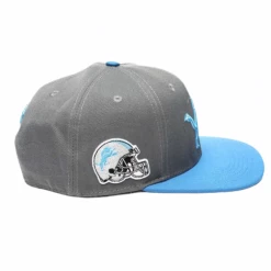 Shop All Pro Standard Hat - Lions - Grey