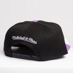 Shop All Mitchell & Ness Snapback - NBA Low Big Face HWC Toronto Raptors - Black And Purple - SH20025