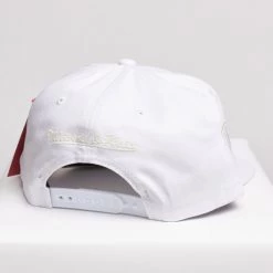 Shop All Mitchell & Ness Snapback - UV Reactive - Toronto Raptors - White - SH20023