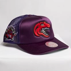 Mitchell & Ness Hat - NBA Trucker Snapback Raptors - Purple - SH20116