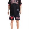 Shop All Pro Standard Short Set - Chicago Bulls - Black - BCB153897