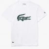 Shop All Lacoste T-Shirt - Print Crocodile - White-001 - TH6907