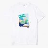 Lacoste T-Shirt - Palms - White - TH2645 Shop All