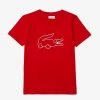 Lacoste Kids T-Shirt - Big Croc - Red-240 - TJ6872 Shop All