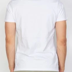 BUYER’S CHOICE Buyer's Choice T-Shirt - Stones Bear - White - 3288 01 Clearance