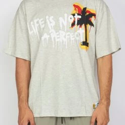 BUYER’S CHOICE Buyer's Choice T-Shirt - Life Is Not Perfect - Grey - OV 7283